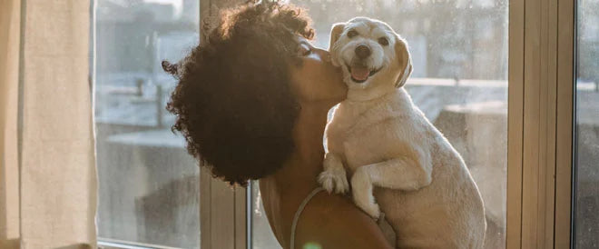 Le ventre de mon chien gargouille, est-ce normal ?